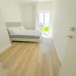 Beole 公寓 巴多利诺